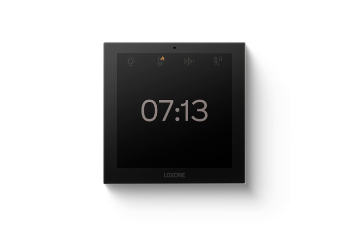 [100887] Touch Pure Display Tree