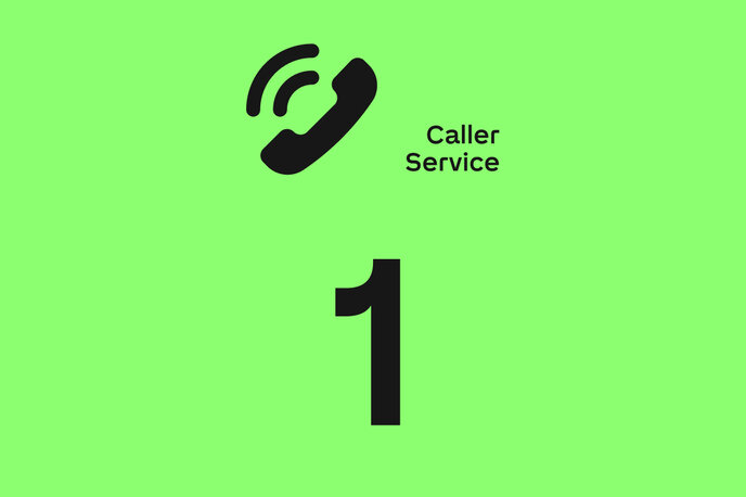 [100027] Caller Service na rok